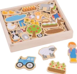Big Jigs Farm Magnets with Wooden Box