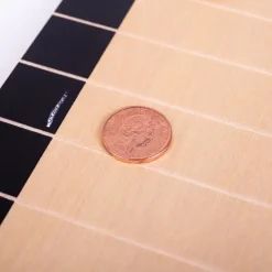 Big Jigs Penny Push Game