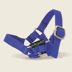 Crafty Ponies Head Collar